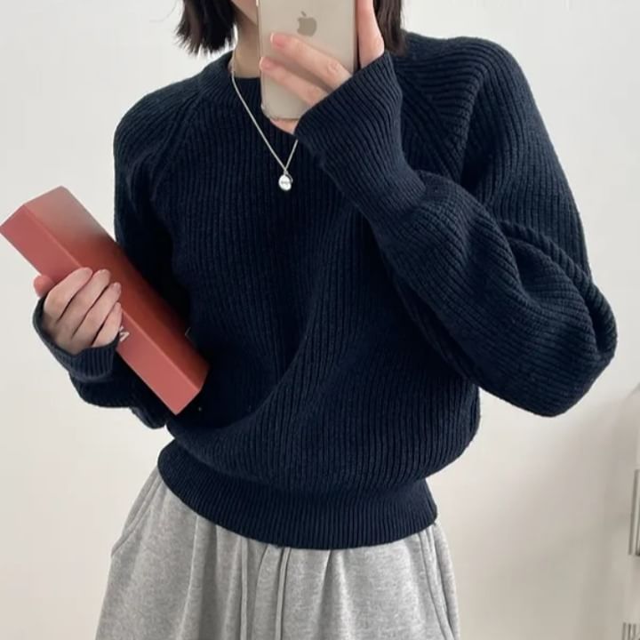 Ribbed Solid Sweater with Crewneck