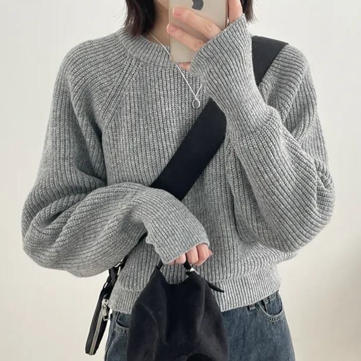 Ribbed Solid Sweater with Crewneck