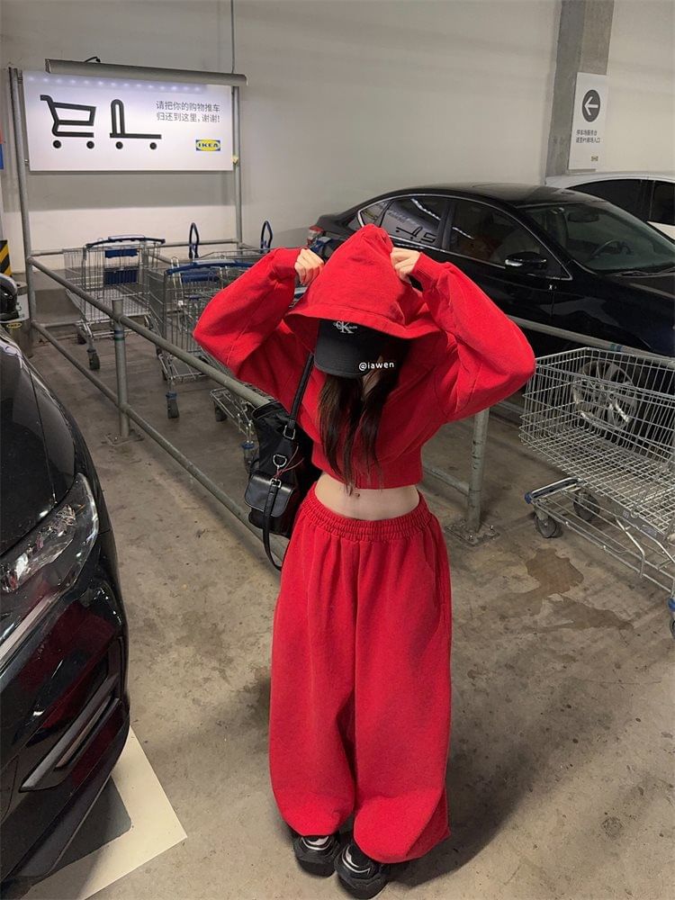 Cropped Zip Hoodie and Drawstring Baggy Sweatpants