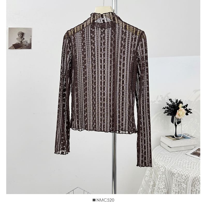 Long Sleeve Sheer Lace Slim Fit Top