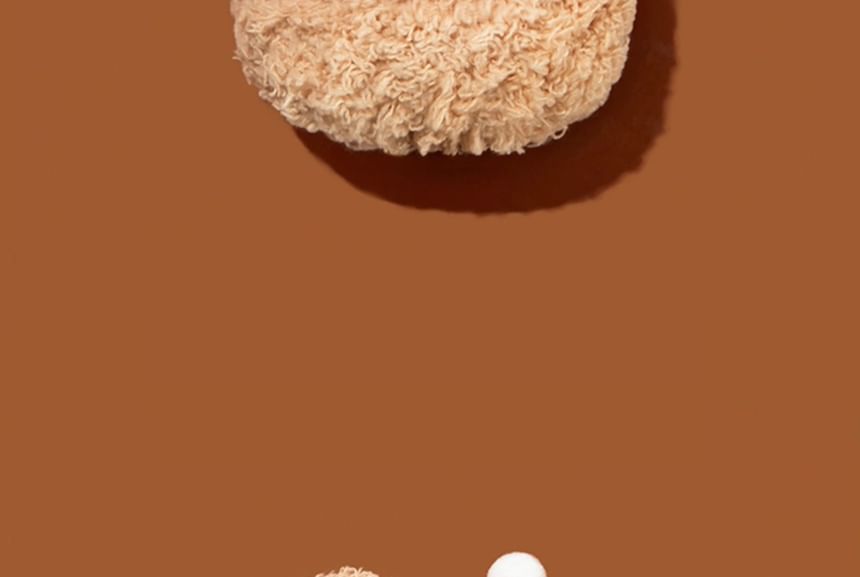 Bread Apple Chenille AirPods / Pro Earphone Case Skin