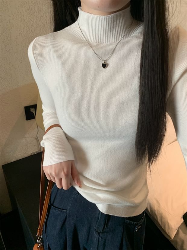 Turtleneck Long Sleeve Ribbed Knit Pullover