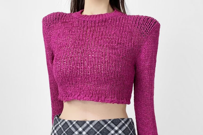 Perforated Crew Neck Crop Knit Top