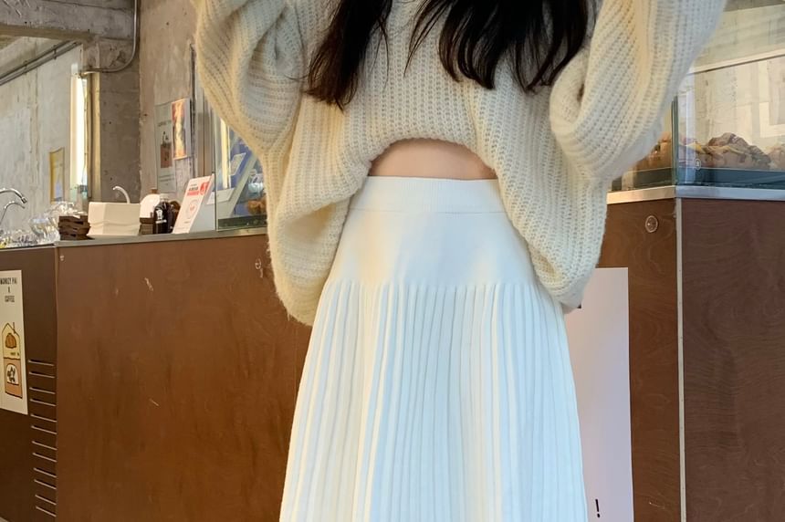 Pleated Solid Skirt High Waist