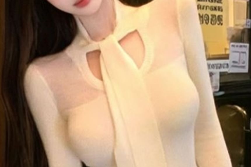 Slim Fit Knit Top with Sheer Panels and Tie Neck, High Waist Pencil Skirt