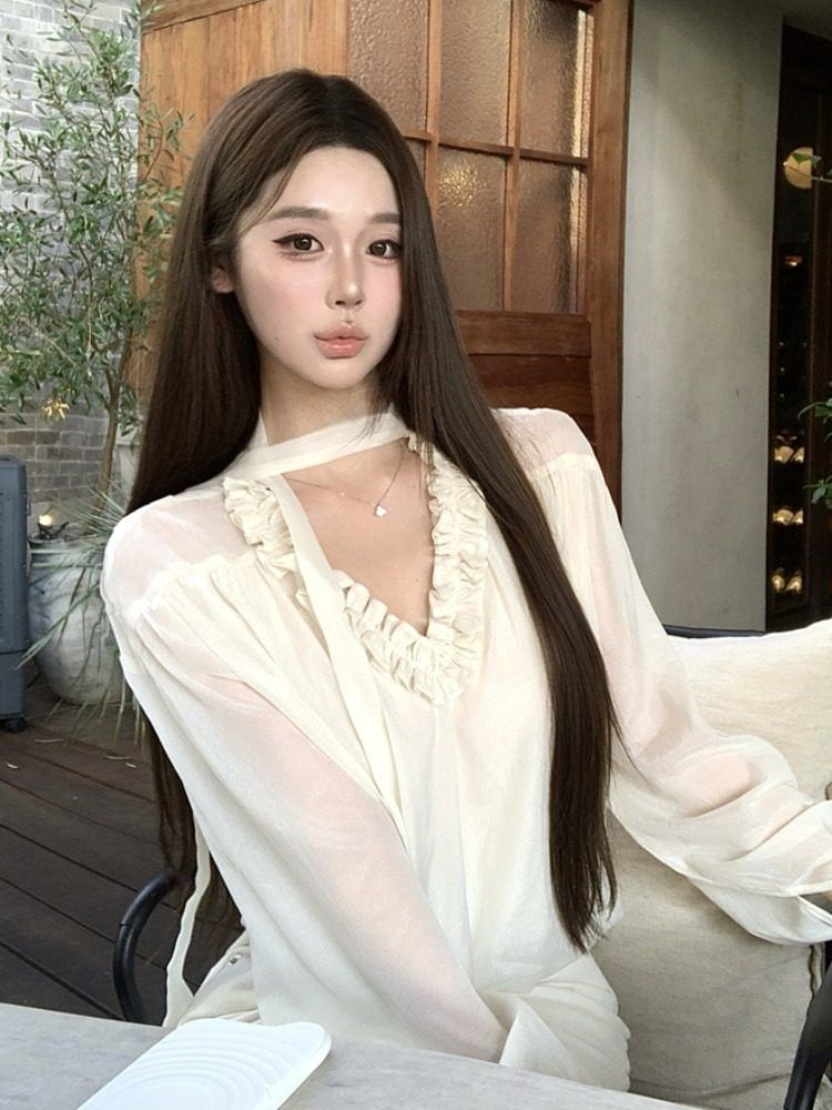 V-Neck Frill Trim Sheer Long Sleeve Blouse