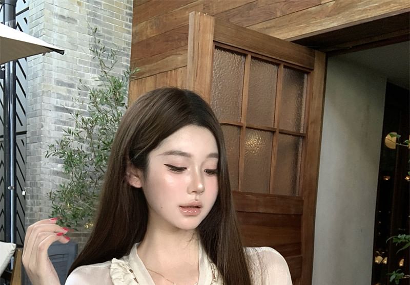 V-Neck Frill Trim Sheer Long Sleeve Blouse