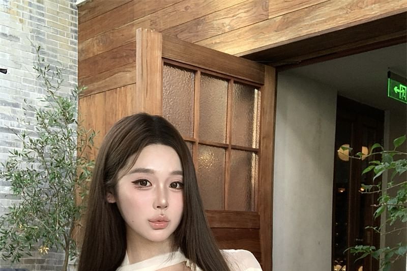 V-Neck Frill Trim Sheer Long Sleeve Blouse