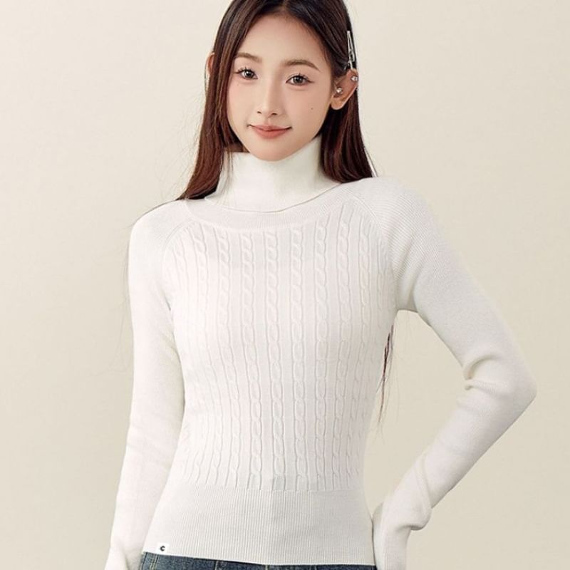 Cable-Knit Turtleneck Sweater