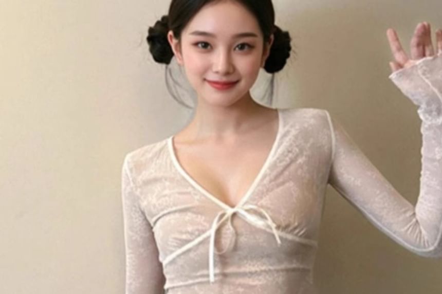 Sheer V-Neck Crop Top with Long Sleeves