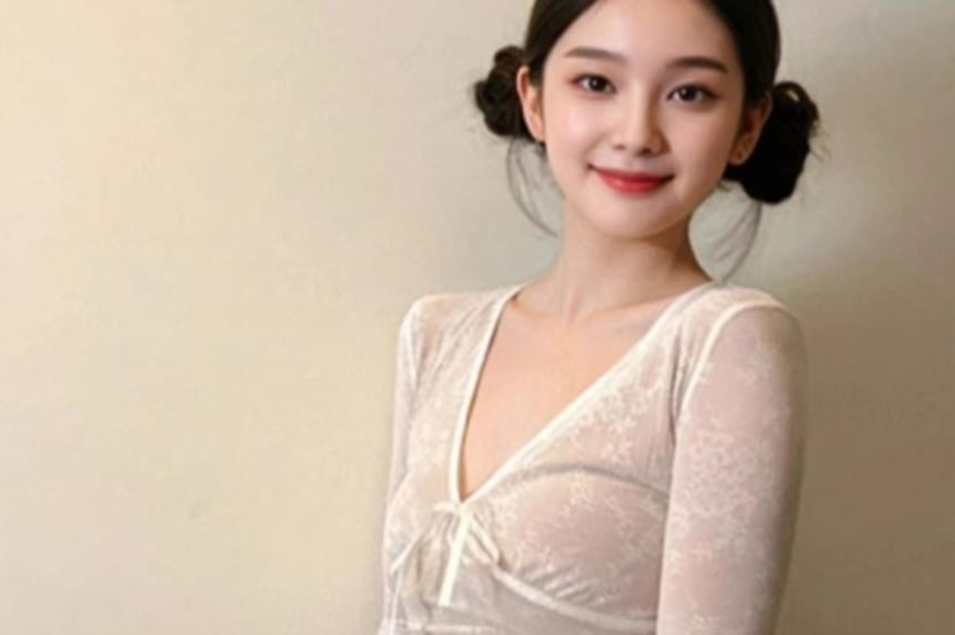 Sheer V-Neck Crop Top with Long Sleeves