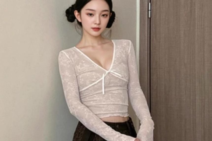 Sheer V-Neck Crop Top with Long Sleeves