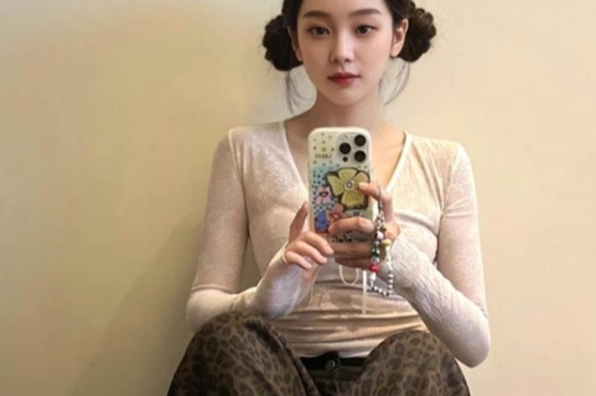 Sheer V-Neck Crop Top with Long Sleeves