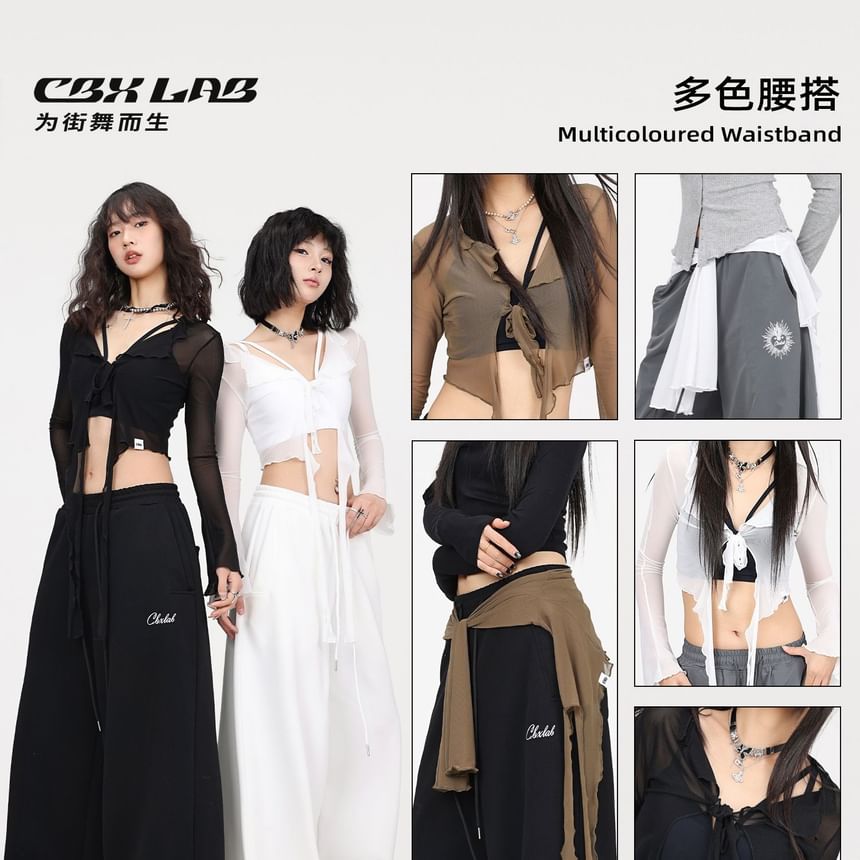 Sheer Crop Top V-Neck Long Sleeve