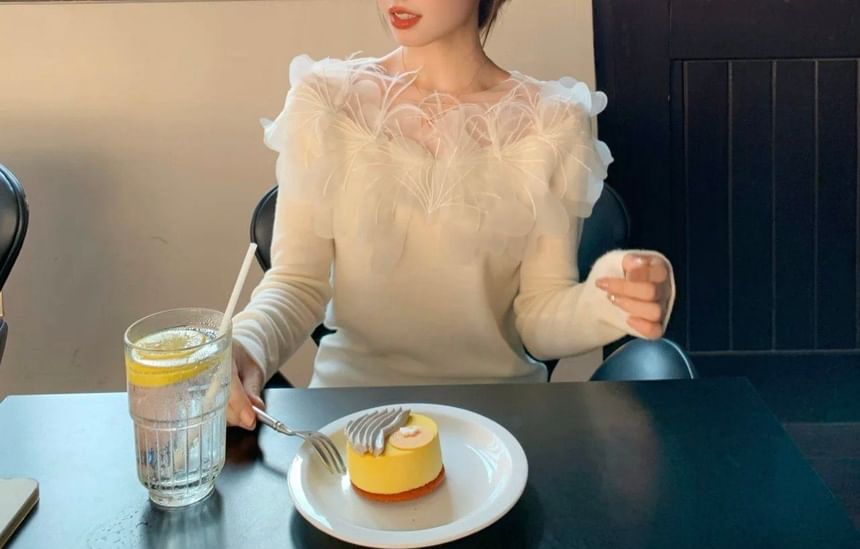 Lace Panel Long Sleeve Plain Top