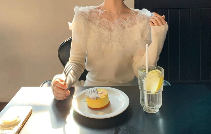 Lace Panel Long Sleeve Plain Top