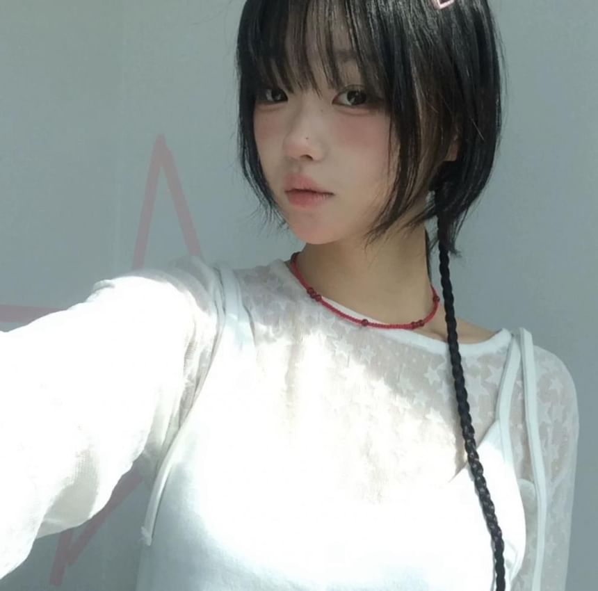 Long-Sleeve Crew Neck Sheer Lace Top