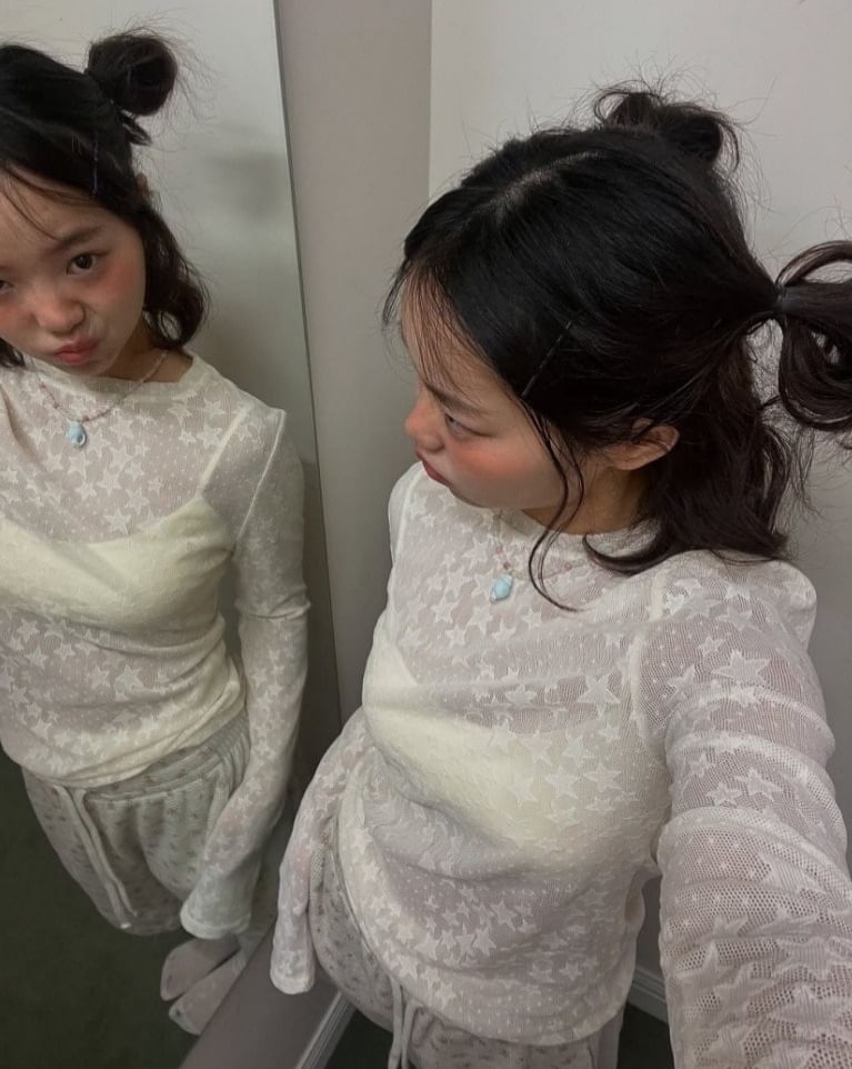 Long-Sleeve Crew Neck Sheer Lace Top