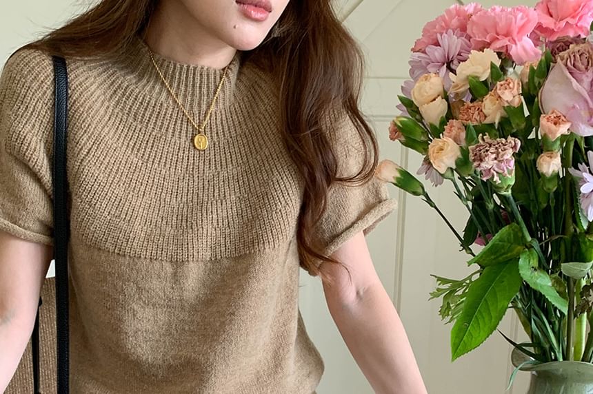 Short-Sleeve Crewneck Solid Knit Top