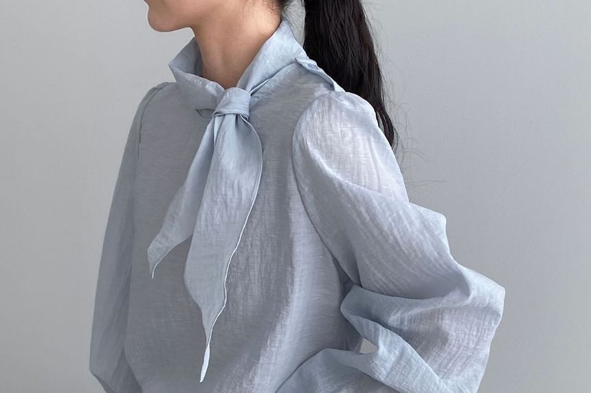 Tie Neck Long Sleeve Solid Blouse