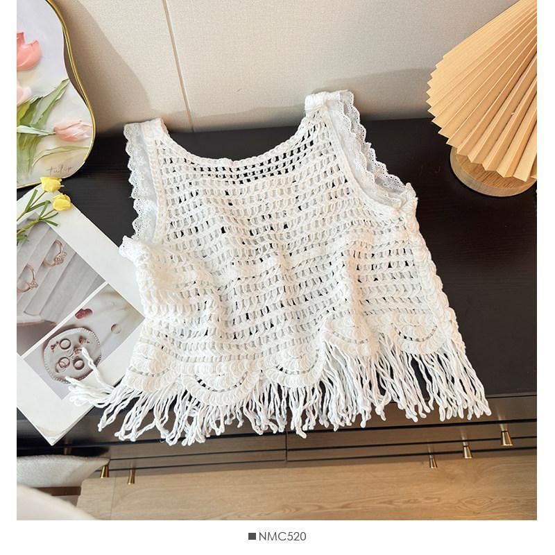 Crochet Fringed Crop Top with U-Neckline