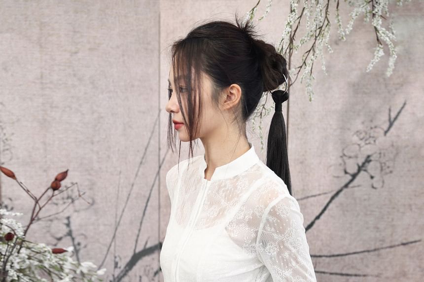 Long Sleeve Stand Collar Plain Lace Blouse