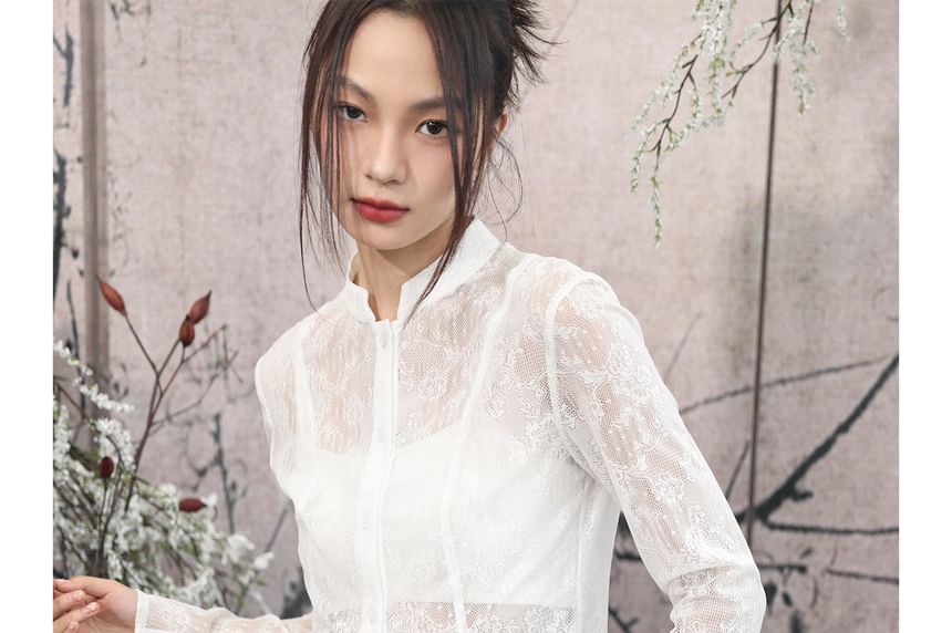 Long Sleeve Stand Collar Plain Lace Blouse