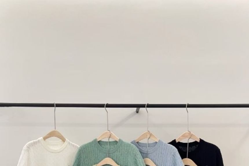 Short-Sleeve Crewneck Plain Knit Top