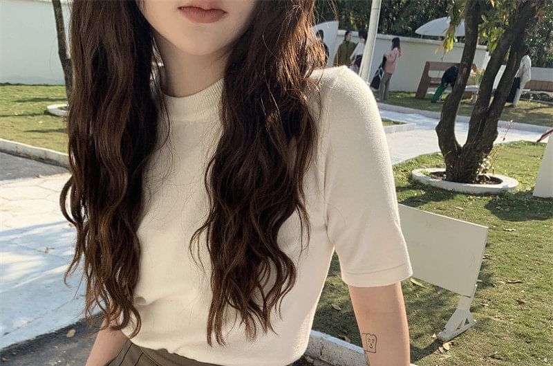 Crew Neck Knit Short Sleeve Blouse