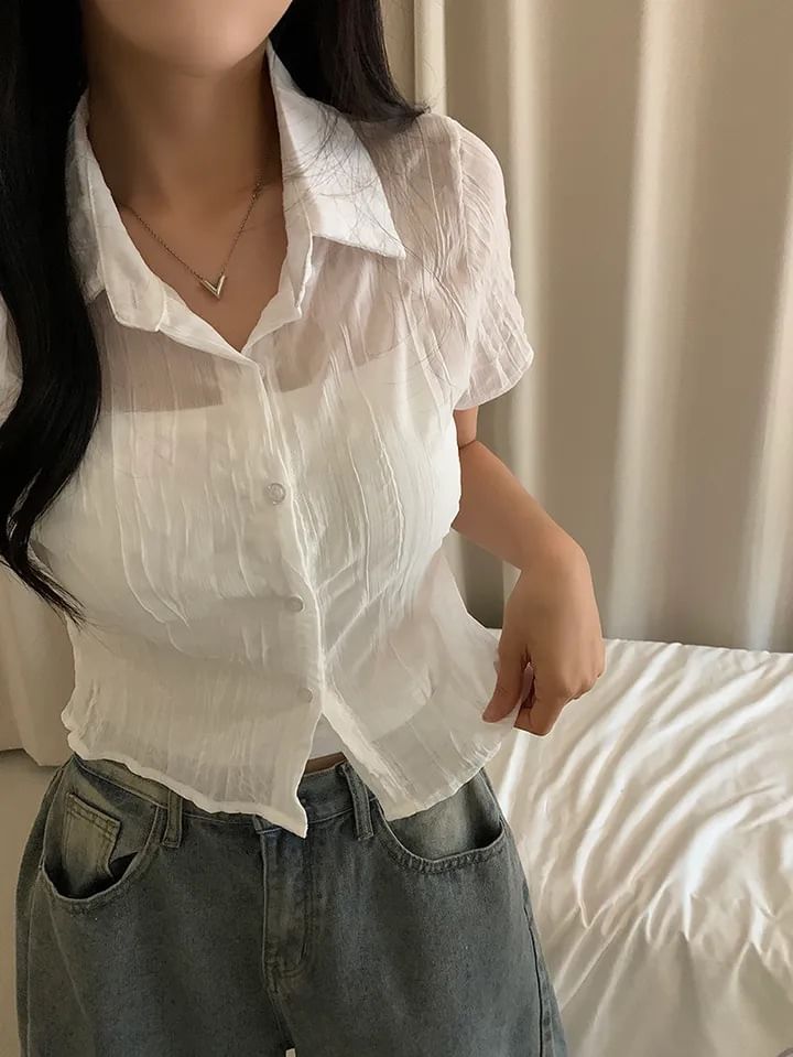 Short Sleeve Collared Sheer Button Up Shirt