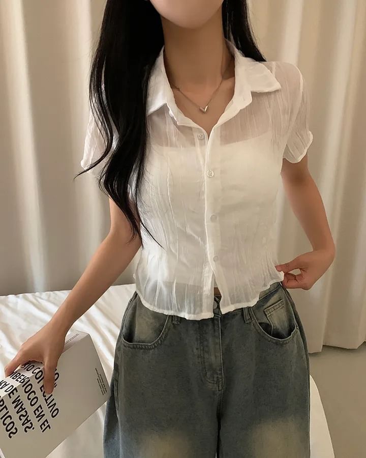Short Sleeve Collared Sheer Button Up Shirt