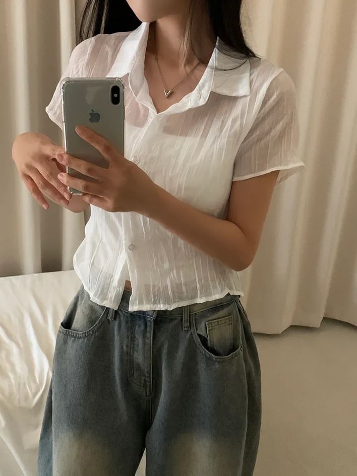 Short Sleeve Collared Sheer Button Up Shirt