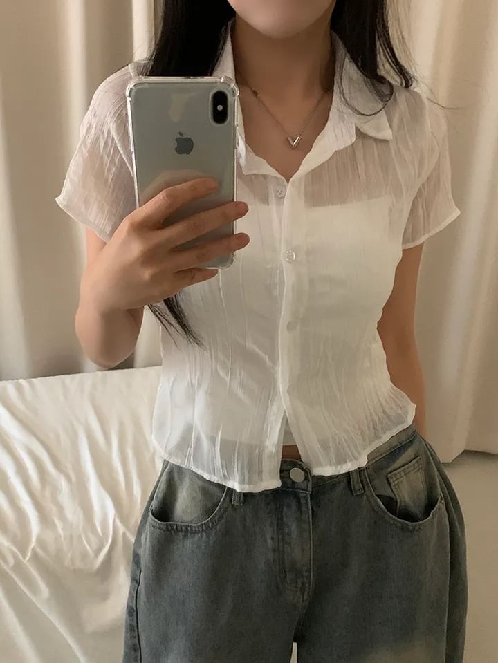 Short Sleeve Collared Sheer Button Up Shirt