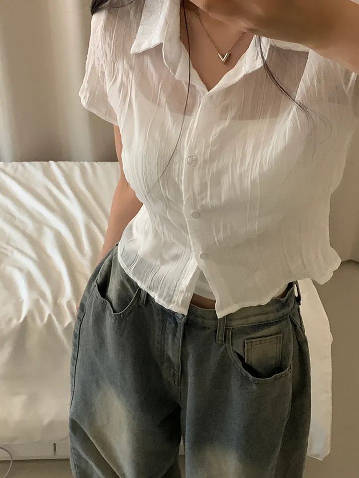 Short Sleeve Collared Sheer Button Up Shirt