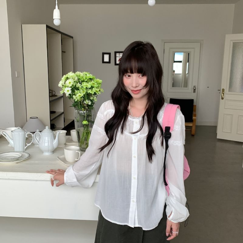 Long-Sleeve Crew Neck Lace Trim Button-Up Sheer Blouse