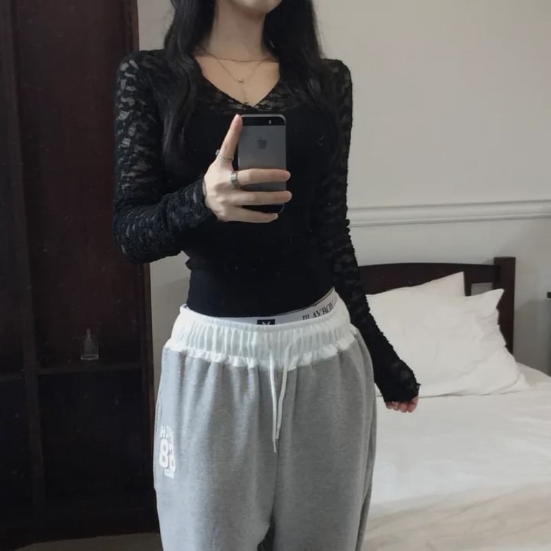 Long Sleeve V-Neck Plain Panel Lace Top