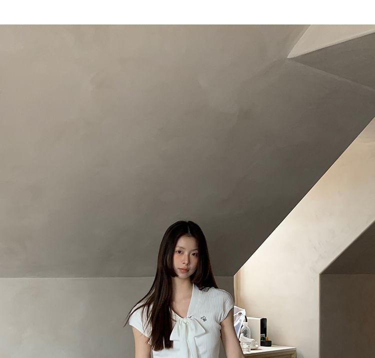 Low Waist Plain Mini Pleated Skirt