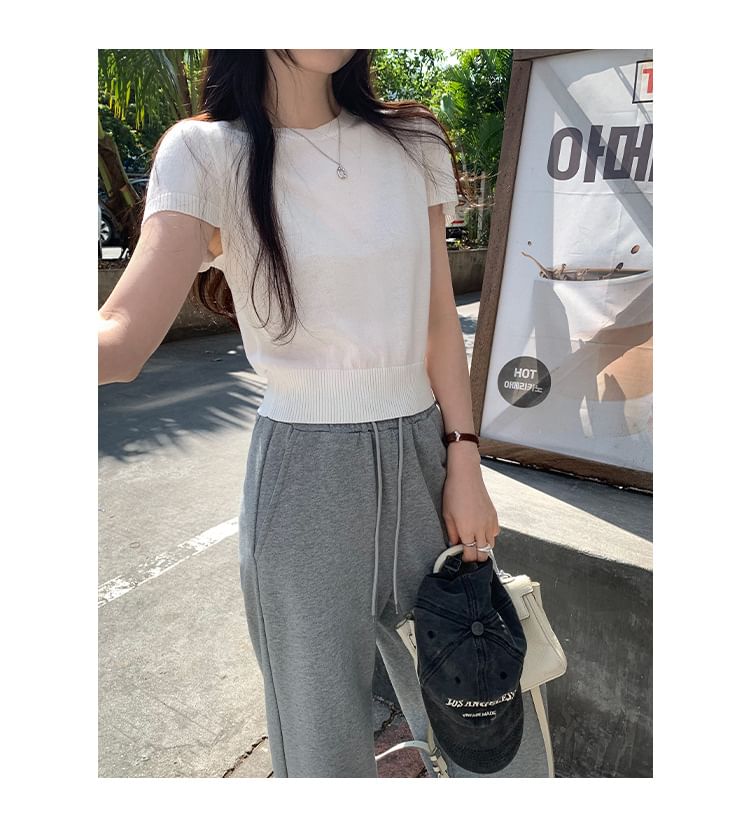 Crew Neck Plain Crop Knit Top