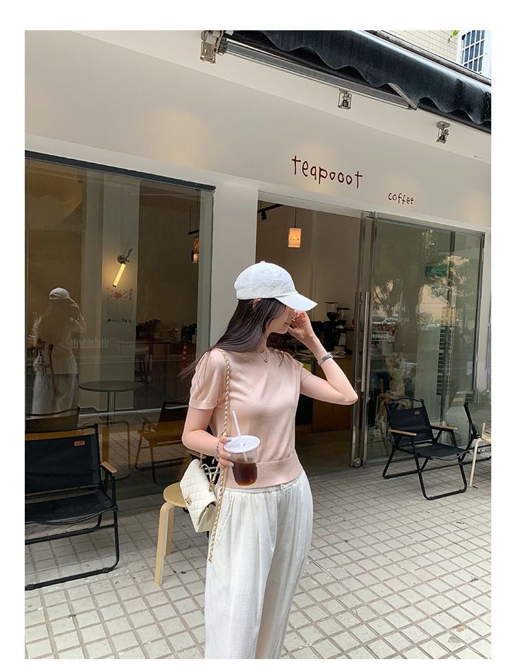 Crew Neck Plain Crop Knit Top
