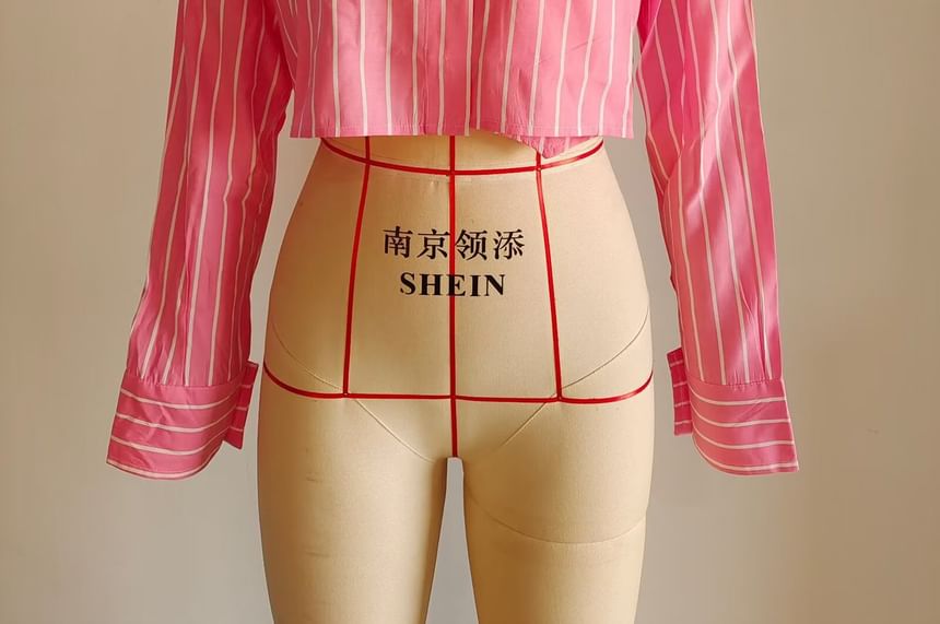 Pinstripe Long-Sleeve Crop Shirt
