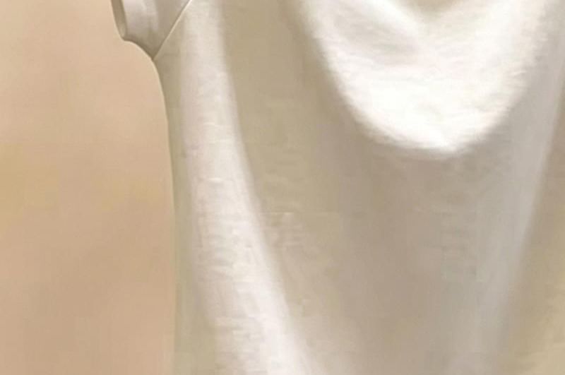 Side Button Crewneck Short Sleeve Crop Tee