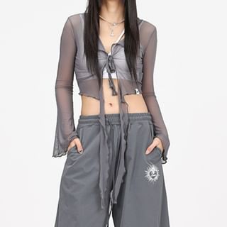 Sheer Crop Top V-Neck Long Sleeve