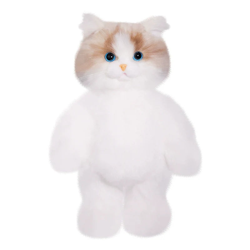 Jouet en peluche mignon de chat Ragdoll 13,3 pouces