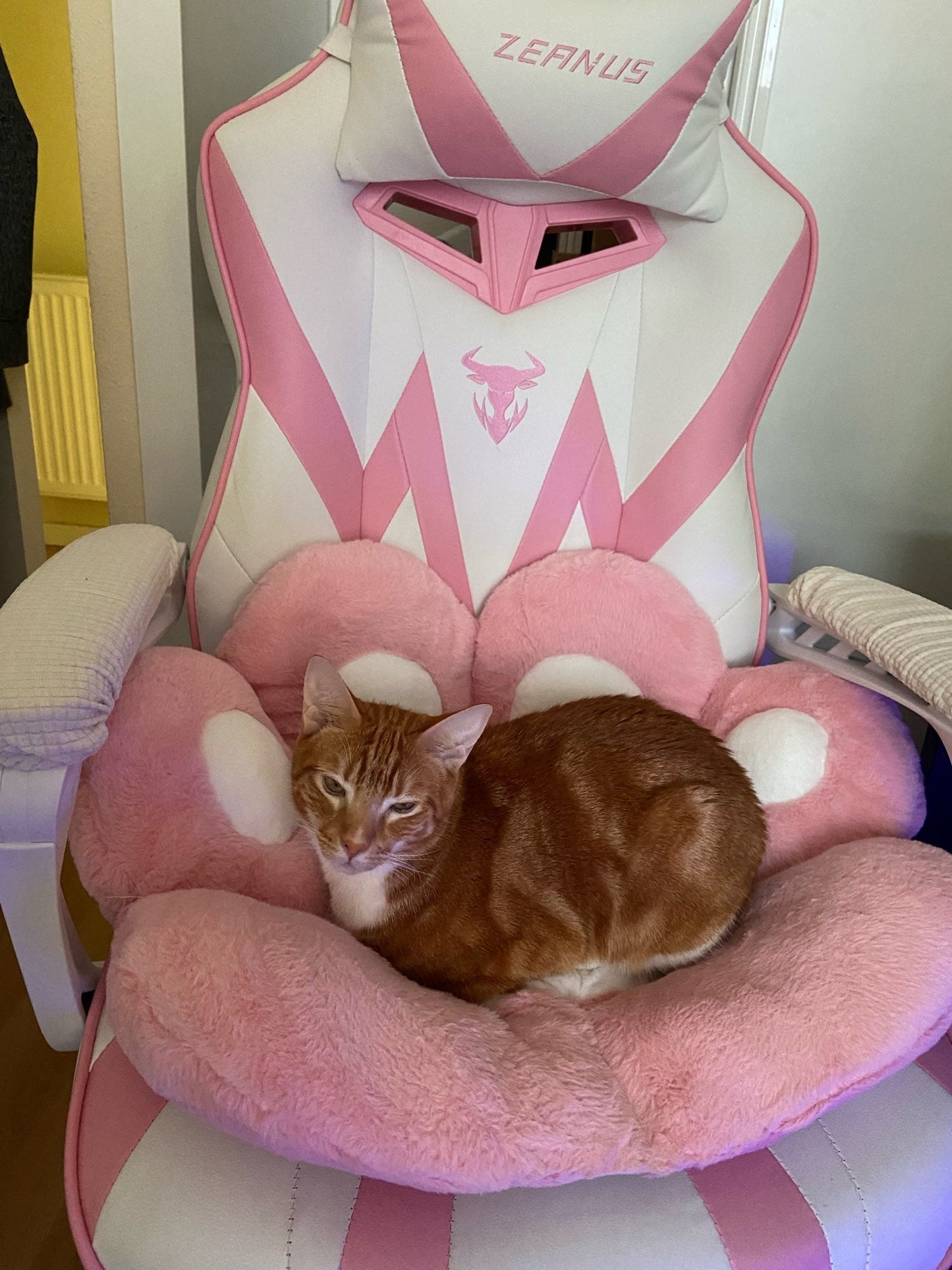 Seat Paw Print Cushion