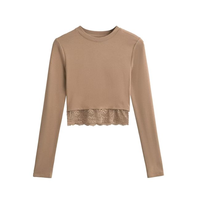 Crewneck Lace Insert Cropped Sweatshirt