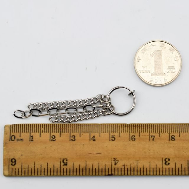 Chain Dangle Earring Stainless Steel Various
