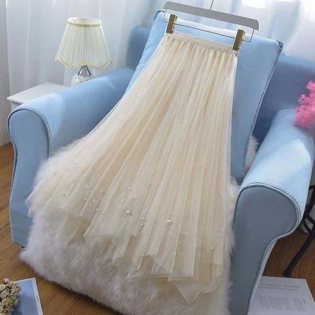Mesh Maxi A-Line Skirt with High Rise Waist