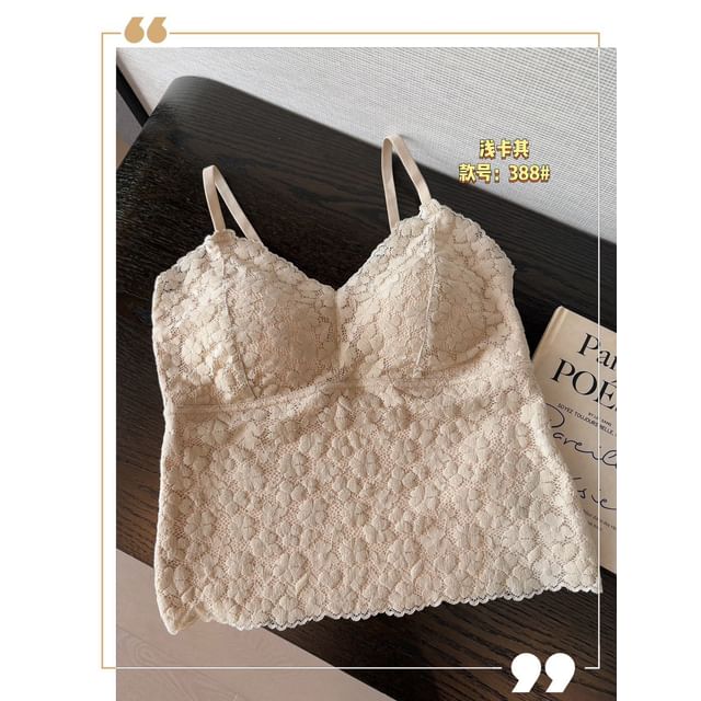 Padded Lace V Neck Crop Cami Top