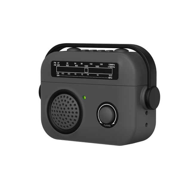 Radio Apple AirPods / Pro Earphone Case Skin