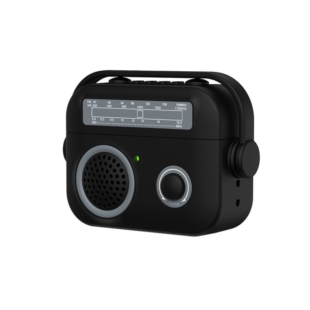 Radio Apple AirPods / Pro Earphone Case Skin